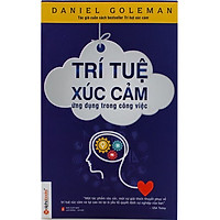 Trí Tuệ Xúc Cảm Ứng Dụng Trong Công Việc ( Tái Bản )