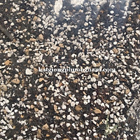 1 KG ĐẤT CAO CẤP TRỒNG XƯƠNG RỒNG - SEN ĐÁ
