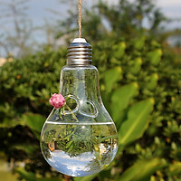 Bóng Đèn Trang Trí Sân Vườn Dạng Thủy Canh Trong Suốt