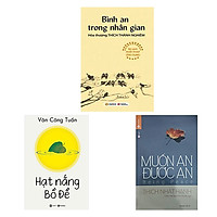 Combo 3 cuốn: Hạt Nắng Bồ Đề + Muốn an được an + Bình An Trong Nhân Gian