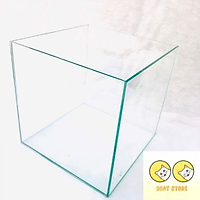 Bể cá mini Bể cá mini cubic