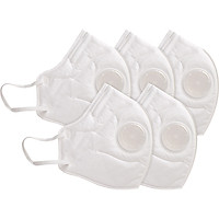 Khẩu Trang Chống Bụi 3D Cao Cấp N96+ (Có Van) Safelife Safemask (Hộp 5 Cái)