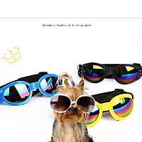 Dogs Sunglasses Windproof Pet Goggles Eye Wear UV Sun-resistant Glasses