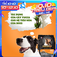 Thức ăn cho chó trưởng thành Ganador vị thịt cừu & gạo Lamb & Rice 3 kg