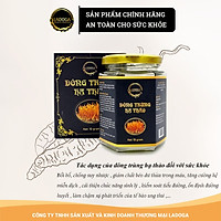 (Combo 2 Hộp) Đông Trùng Hạ Thảo LADOGA Sấy Thăng Hoa Cordyceps - M Không Biến Đổi Gen, Thuần Chay