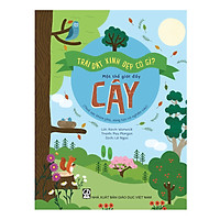 Combo bộ 3 cuốn sách Trái Đất Xinh Đẹp có Gì