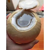 Dừa Xiêm Bến Tre