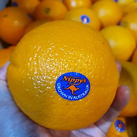 Cam Navel Úc