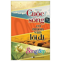 Sống Đẹp – Cuộc Sống Có Muôn Vàn Lối Đi (Tái Bản 2019)