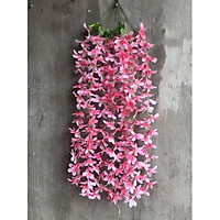 Rủ Hoa Sao Giá Rẻ _Hoa treo tường trang trí nhà cửa