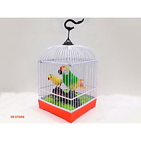 Hộp Bộ Lồng Chim 2 Con Vẹt Màu Sắc Kèm Tiếng Hót Đồ Chơi Trẻ Em