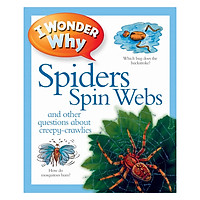 I Wonder Why Spiders Spin Webs