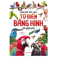 Từ Điển Bằng Hình – Các Loài Chim