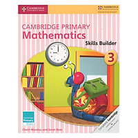 Cambridge Primary Mathematics 3: Skills Builders
