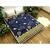 THẢM TRẢI GIƯỜNG NỈ NHUNG HƯƠU-CÂY XANH