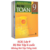 Sách Giáo Khoa Bộ Lớp 9 - Sách Bài Tập (Bộ 6 Cuốn - Không Bài Tập Tiếng Anh) (2021)