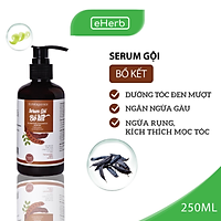 Serum Gội Bồ Kết Milaganics - Chiết Xuất Bồ Kết Cô Đặc Cho Mái Tóc Đen Óng Mượt Tự Nhiên (250ml/chai)
