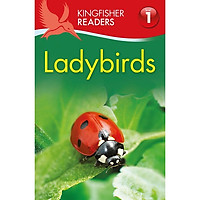 Kingfisher Readers Level 1: Ladybirds