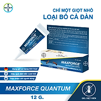 Diệt kiến dạng Gel Bayer Maxforce Quantum 0.03% (12g)