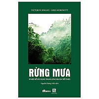 Rừng Mưa : Bí Mật Để Xây Dựng Thung Lũng Silicon Tiếp Theo