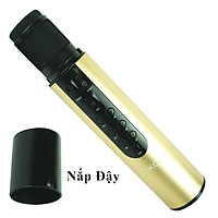 Micro Bluetooth Hát Karaoke Không Dây, Nghe Nhạc, Hỗ Trợ Kết Nối Thẻ Nhớ, Cổng 3.5 mm - Hàng Chính Hãng