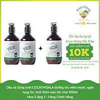 Dầu xả Gừng tươi COCAYHOALA dưỡng tóc mềm mượt, ngăn rụng tóc, kích thích mọc tóc chai 300ml - Mua 2 tặng 1