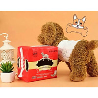TẢ BỈM CHO CHÓ ĐỰC SIÊU THẤM - SP000641