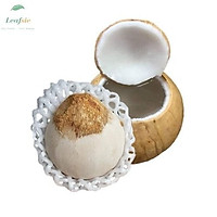 Dừa xiêm xanh gọt trọc trái