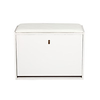 Tủ giày thông minh GD01