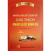 Những Vấn Đề Cơ Bản Về Giải Thích Pháp Luật Hình Sự