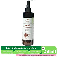 Dầu gội chống gàu ngừa rụng tóc Adeva Noni - 100% từ thảo dược thiên nhiên, không cần dầu xả. Mùi thơm tự nhiên, phục hồi tóc hư tổn, giúp tóc bóng mượt tự nhiên