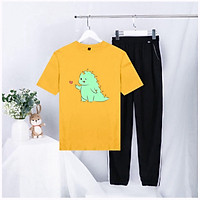 Sét Bộ Đồ Nữ Mặc Đi Chơi Siêu Xinh Cute, Sét Áo Phông Cotton Mát Mịn In Khủng Long Búng Tim Phối Quần Một Sọc