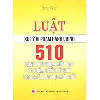 Luật Xử Lý Vi Phạm Hành Chính - 510 Hành Vi Vi Phạm, Mức Phạt Và Thẩm Quyền Xử Phạt Trong Các Lĩnh Vực Mới Nhất