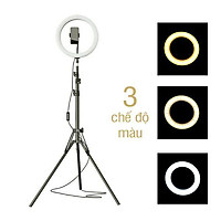 Bộ Đèn LED trợ sáng 26cm tích hợp 3 nguồn ánh sáng trắng/vàng/trung tính hỗ trợ livestream, selfie, quay Tiktok (tặng kèm đầu đọc thẻ nhớ cao cấp)