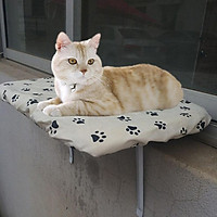 Cat Window Perches Basking Window Hammock Sunbathing Perch Foam Cushion Bed