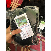 Lưới bẫy chim chào mào, ri, sẻ, chòe, én mắt 4cm cao 5m