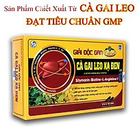 Cà Gai Leo Xạ Đen - Viên Uống Bổ Gan, Giải Độc Gan, Tăng Cường Chức Năng Gan (Hộp 60 Viên)