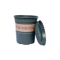 Chậu Nhựa Monrovia trồng cây (hoa hồng) 1 GL