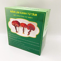 Nấm Lim Xanh Từ Tâm - Hộp 500g Nấm Lim Xanh Tự Nhiên