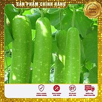 Hạt giống bầu lai F1 năng suất siêu trái hat giong bau lai