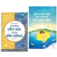Combo 2 Cuốn Sách Kỹ Năng Sống Hay : Cân Bằng Cảm Xúc, Cả Lúc Bão Giông + Bạn Có Đang Sốn
