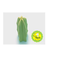 Khuôn Xương Rồng 5 Nhánh Đại 9 cm/ Khuôn Silicon/ Bánh Sinh Nhật/ Thạch Jelly