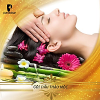 HCM - Liệu trình gội đầu và massage dưỡng sinh tại Paradise Spa
