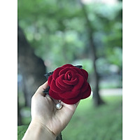 Hoa cài áo handmade Hồng cổ Sapa cánh tròn - Hồng Nhung màu đỏ đô