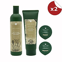 Combo 2 cặp dầu gội xả gừng hà thủ ô Weilaiya