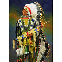 Bimkole 5D Diamond Painting Color Indians Full Drill DIY Rhinestone Pasted with Diamond Set Arts Craft Decorations (12x16inch)