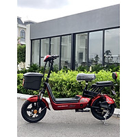 XE ĐẠP ĐIỆN LIXI TRÁI NHO