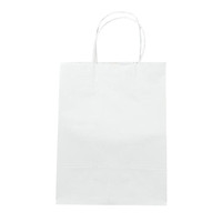 Gift Bag Party Present Goody Favor Bags Business Retail Bags 15x8x21cm