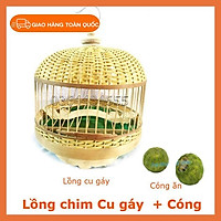Lồng nuôi chim cu gáy - Lồng cu gáy tròn cầu gỗ, khay nhựa
