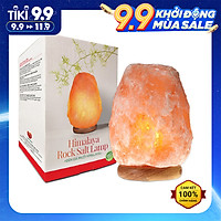Đèn Đá Muối Tự Nhiên Himalaya Love Stone ( 4kg - 4.5kg )